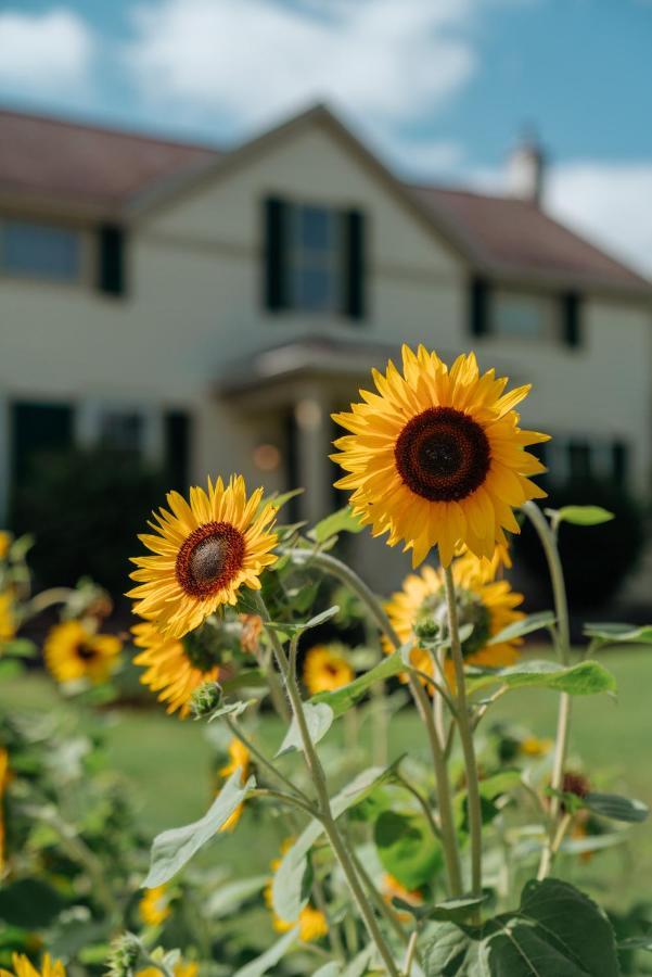 Skaneateles Suites Exteriér fotografie